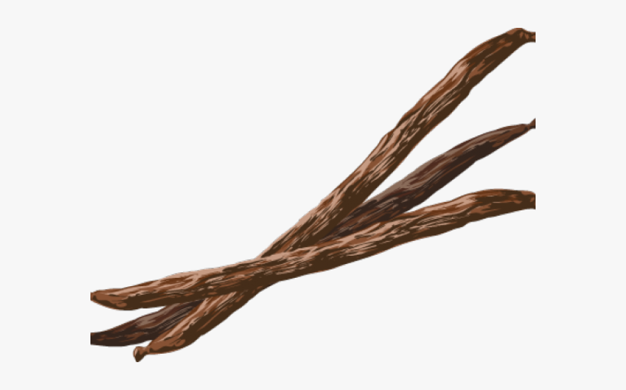 Coffee Beans Clipart Vanilla Bean - Vanilla, Transparent Clipart