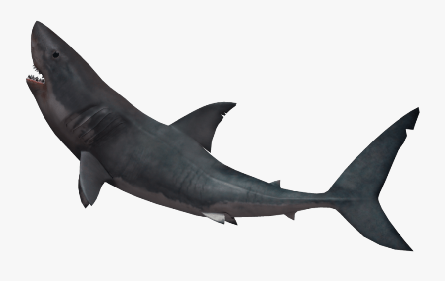 Shark Jumping Transparent Background - Great White Shark Transparent Background, Transparent Clipart