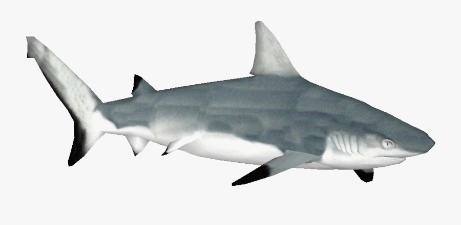 Transparent Tiger Shark Clipart, Transparent Clipart