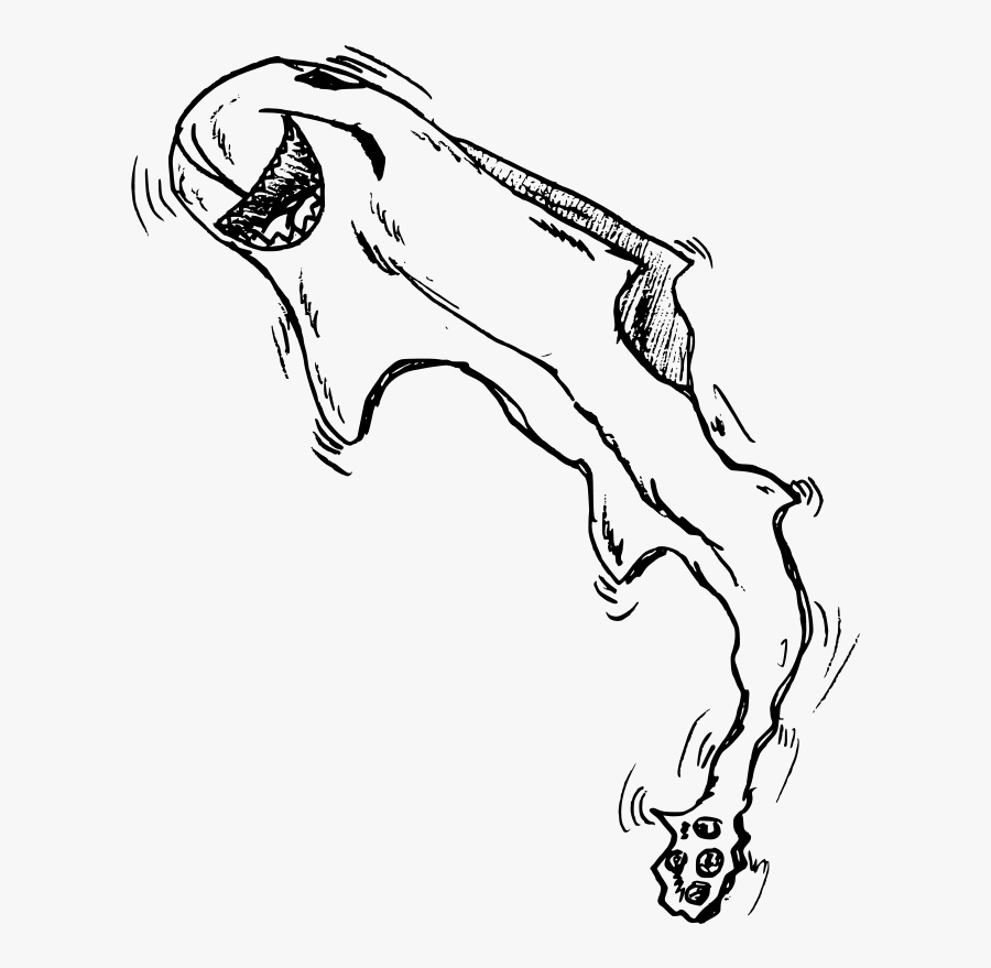 Art,monochrome Photography,carnivoran - Clip Art, Transparent Clipart