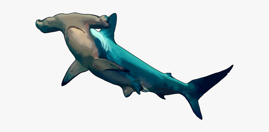Bronze Hammerhead Shark - Hammerhead Shark Transparent Background, Transparent Clipart