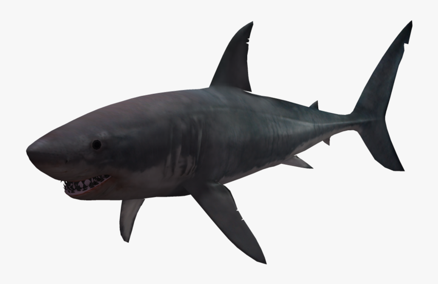 Great White Shark Clipart Pink - Shark Png Transparent Hd, Transparent Clipart