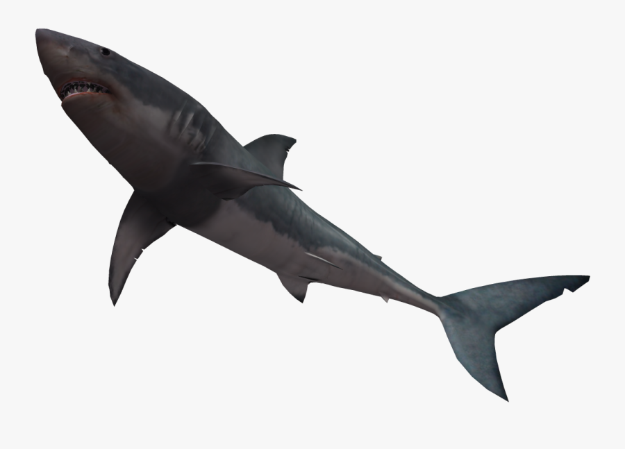 Bull Great White Clip - Bull Shark Transparent Background, Transparent Clipart
