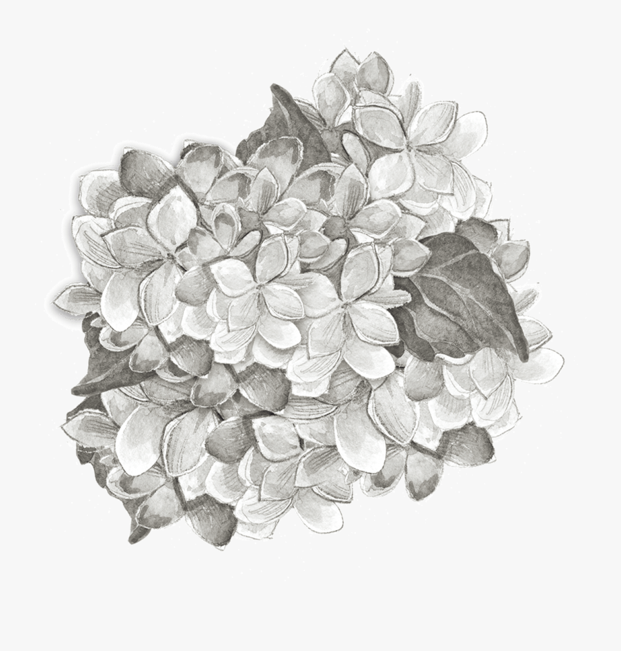 And Plant Petal Grey Cultivation Black Pattern Clipart - Dime, Transparent Clipart