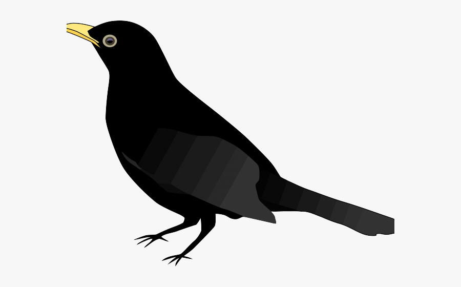 Clip Art Of Koyal, Transparent Clipart