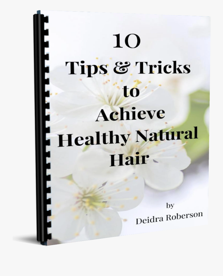 Image2, Transparent Clipart