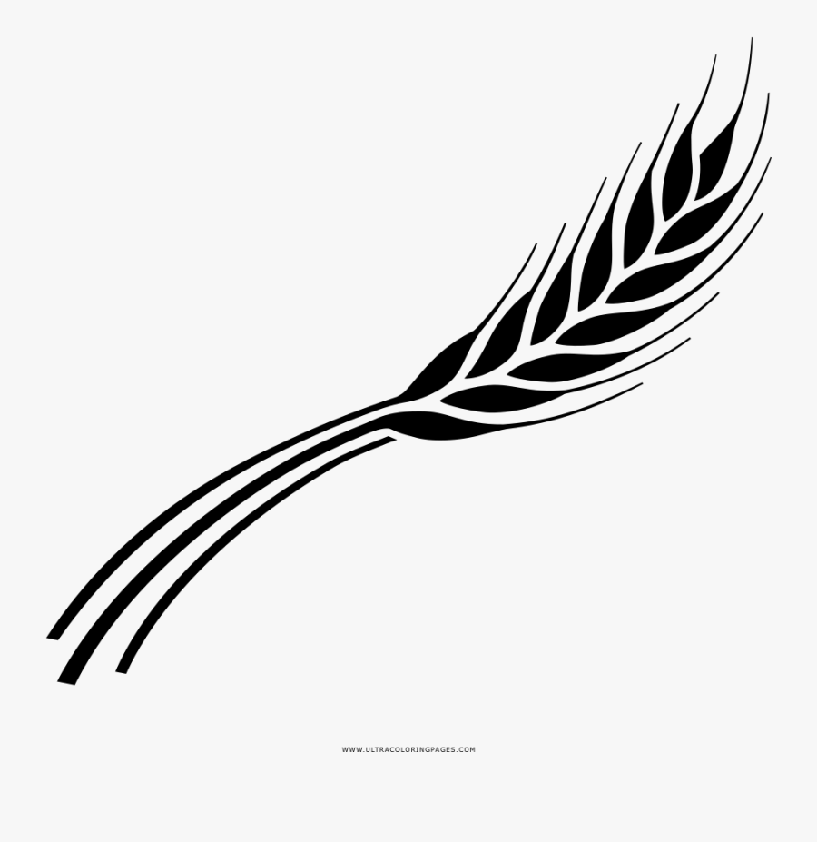 Royalty Free Library Line Art Black And - Barley Black And White, Transparent Clipart