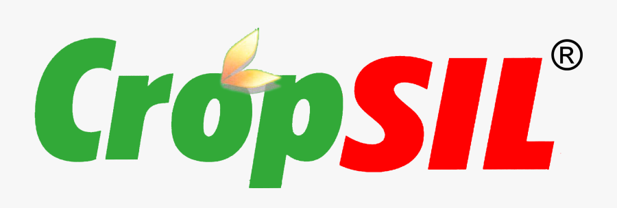 Crops Clipart Wheat Barley, Transparent Clipart