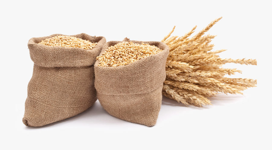 Agrarians Value Barley For Being A Short Crop - Wheat In Sack Transparent, Transparent Clipart