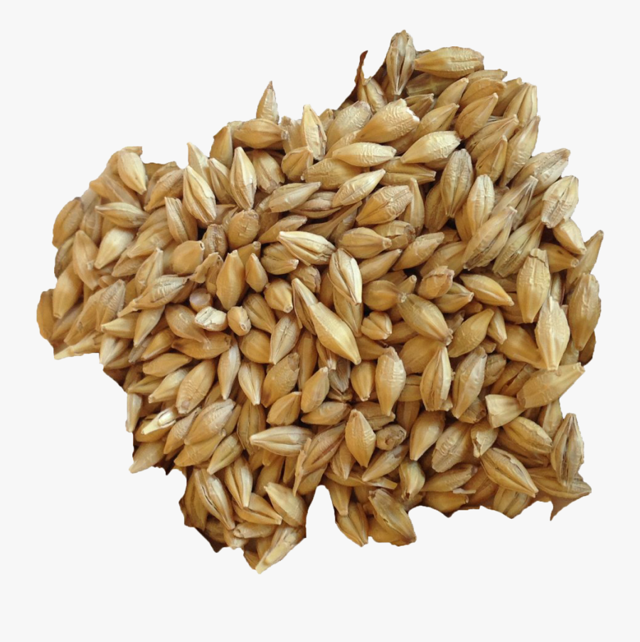 Barley Grain Png Hd Image - Barley Transparent Png, Transparent Clipart