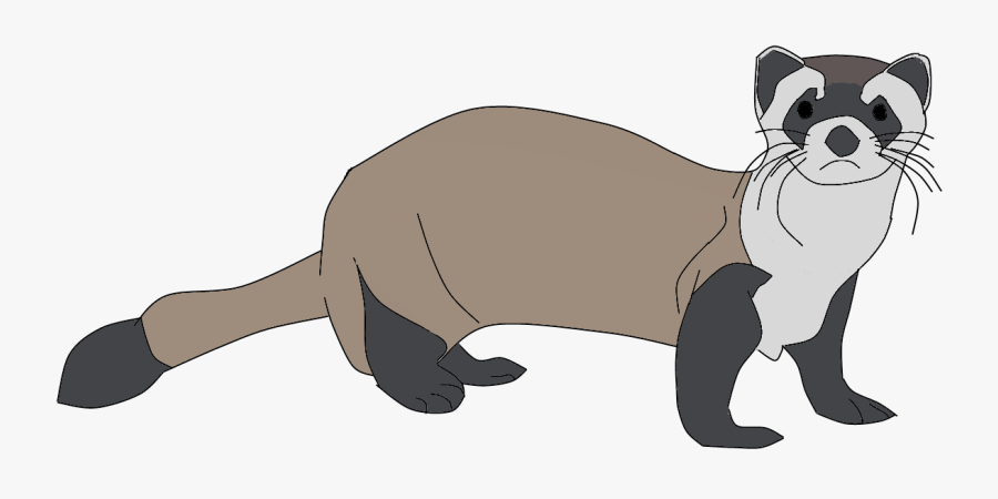Ferret Png Clipart - Black Footed Ferret Clipart, Transparent Clipart