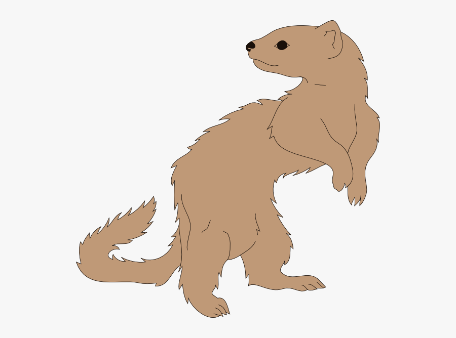 Clipart Ferret, Transparent Clipart