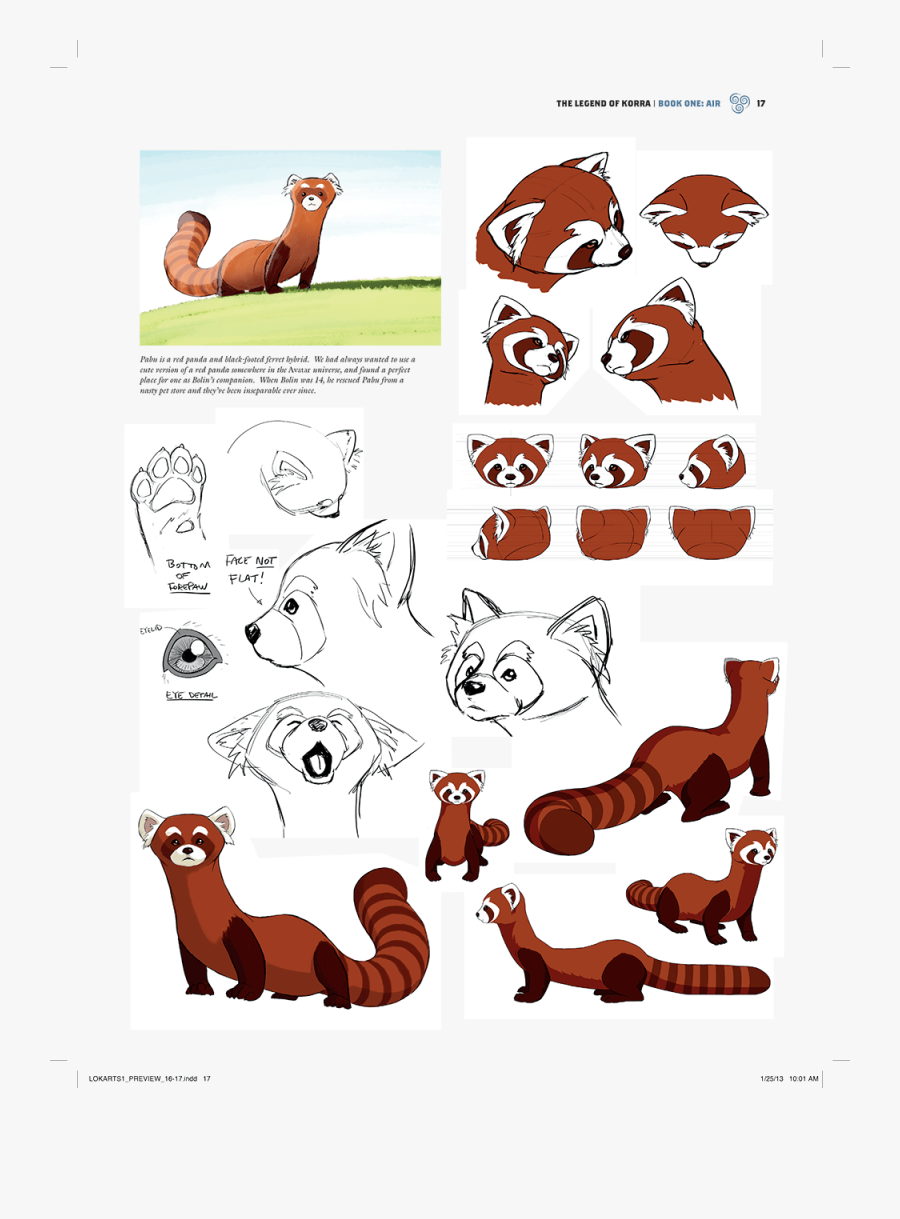 Black Footed Red Panda Ferret, Transparent Clipart