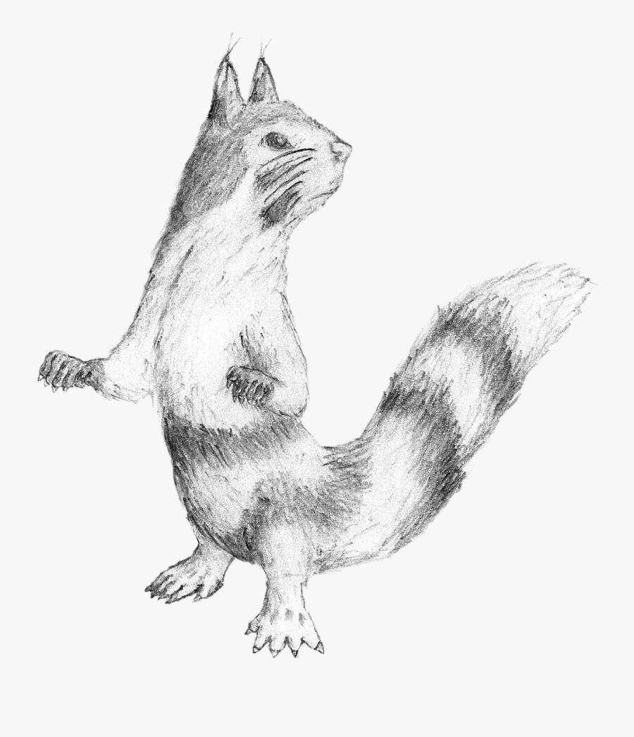 Realistic Furret Study - Realistic Furret, Transparent Clipart