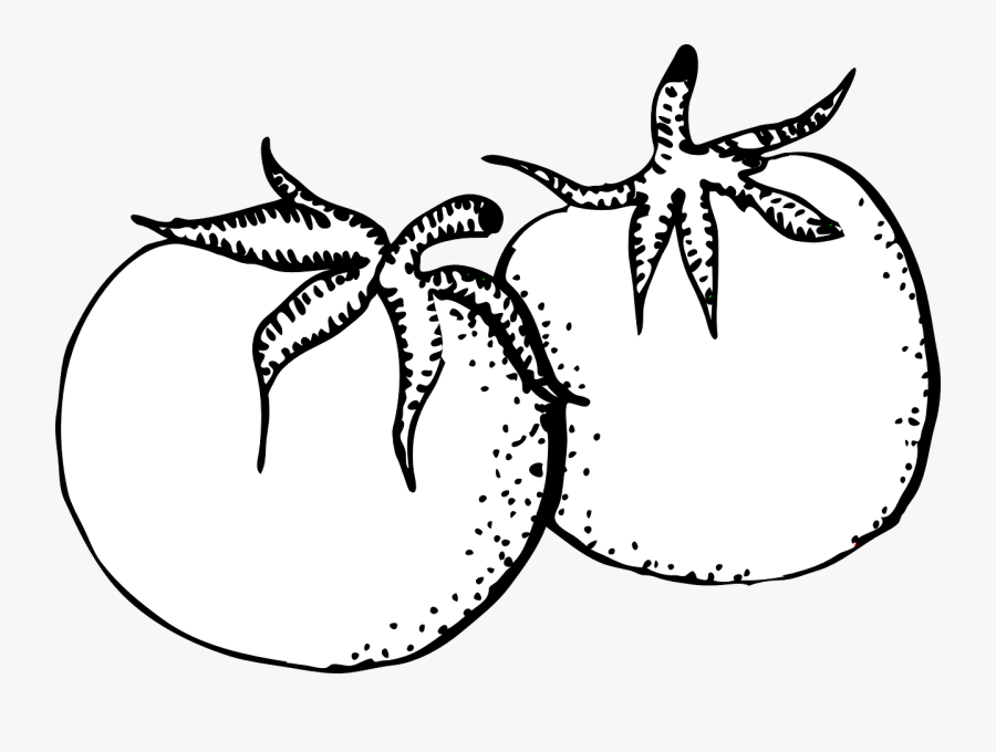 Tomato Clipart Black And White, Transparent Clipart