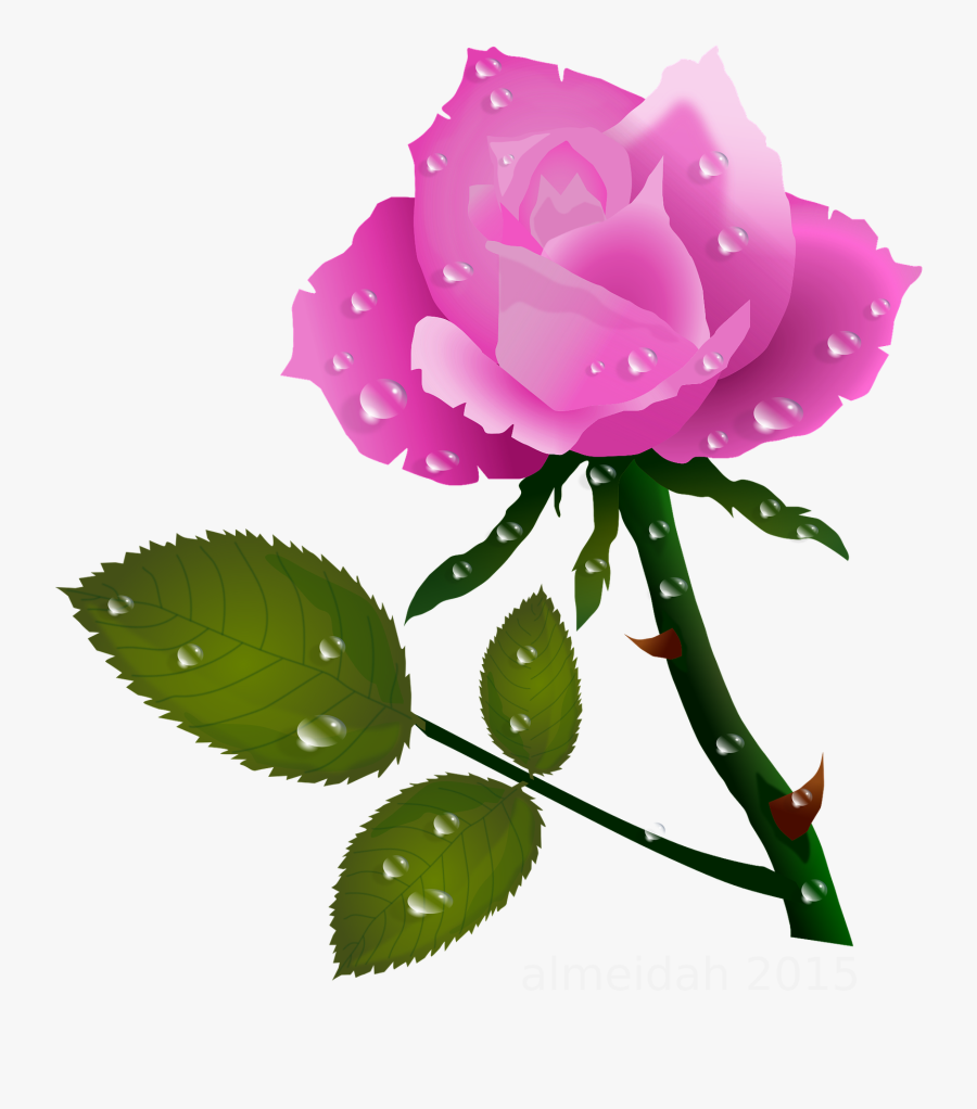 Pink Rose With Water Drops Pink Roses, Planter, Water - Red Rose Gif Clipart, Transparent Clipart