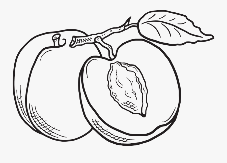 Line Art, Transparent Clipart