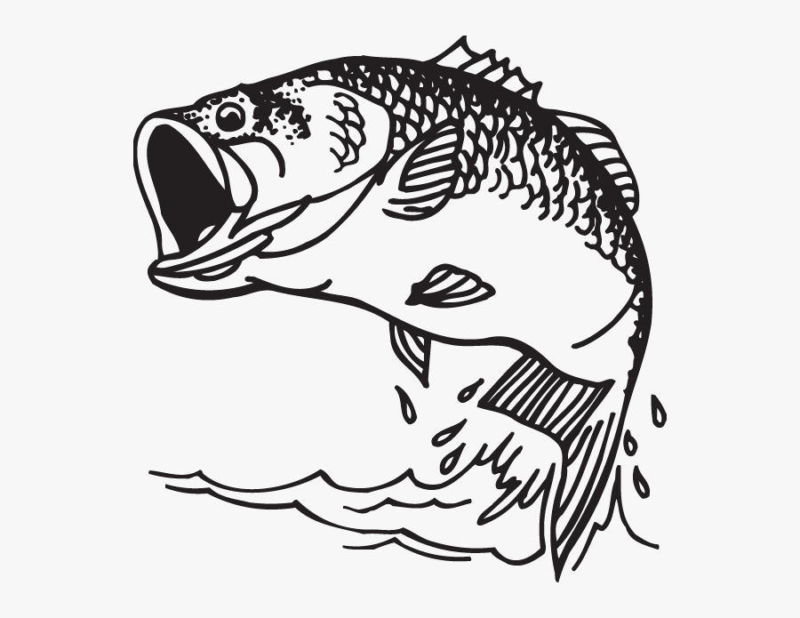 Largemouth Bass Decal Bass Fishing - Black And White Bass Fish, Transparent Clipart