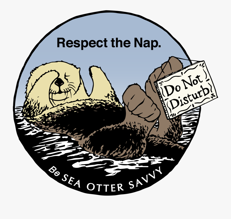 Sea Otter Savvy - Young Pulse Don T You Know Baby, Transparent Clipart