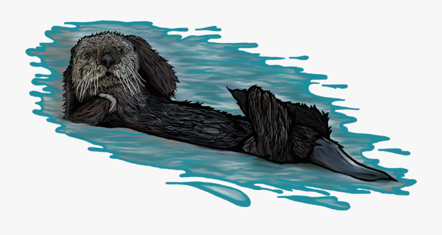 Transparent Otter Png - Sea Otter, Transparent Clipart