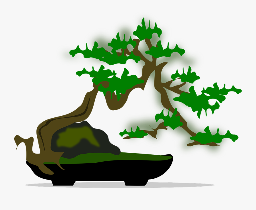 Bonsai Clipart Long Tree - Bonsai Graphics Png, Transparent Clipart