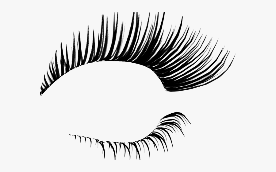 Long Clipart Eye Lashes - Photoshop Lashes , Free Transparent Clipart ...