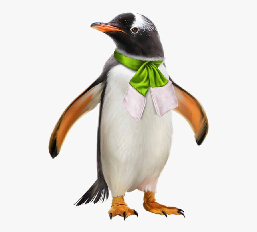 Banner Transparent Image Result For Penquin And Polar - Penguin, Transparent Clipart