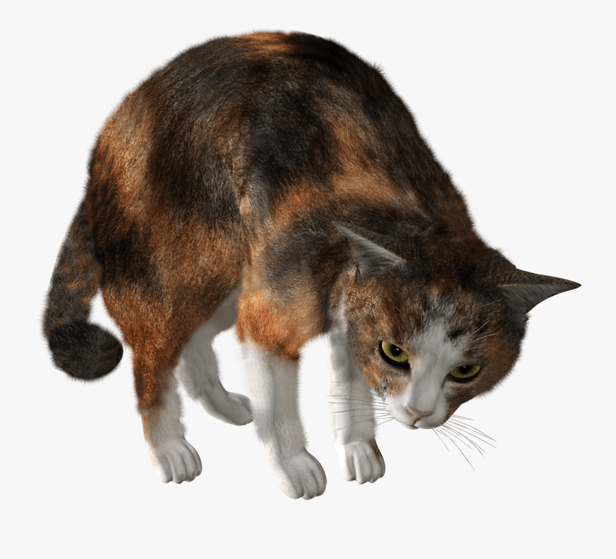 44 Cat Png Image Download Picture Kitten Clipart Image - Коты Png, Transparent Clipart