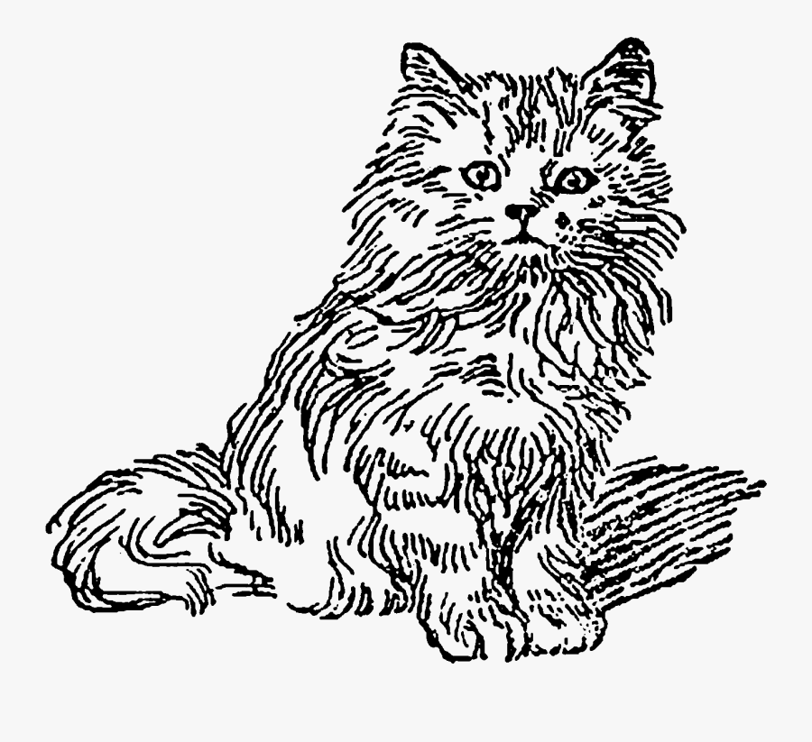 Transparent Cute Kittens Clipart - Domestic Long-haired Cat, Transparent Clipart