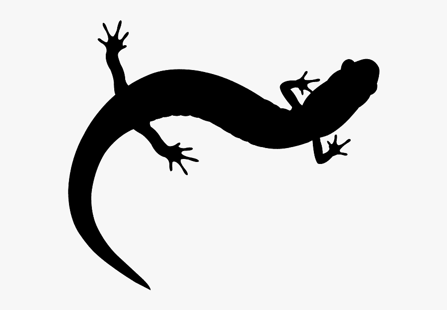 Salamander Silhouette, Transparent Clipart