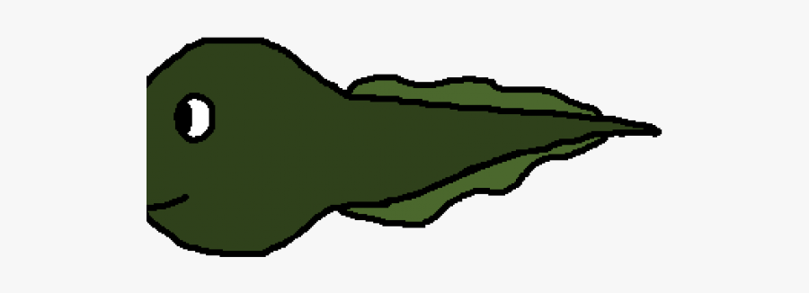 Tadpole Cliparts, Transparent Clipart