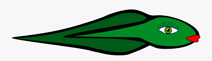 Polliwog Tadpole Frog Animal Green Porwigle, Transparent Clipart