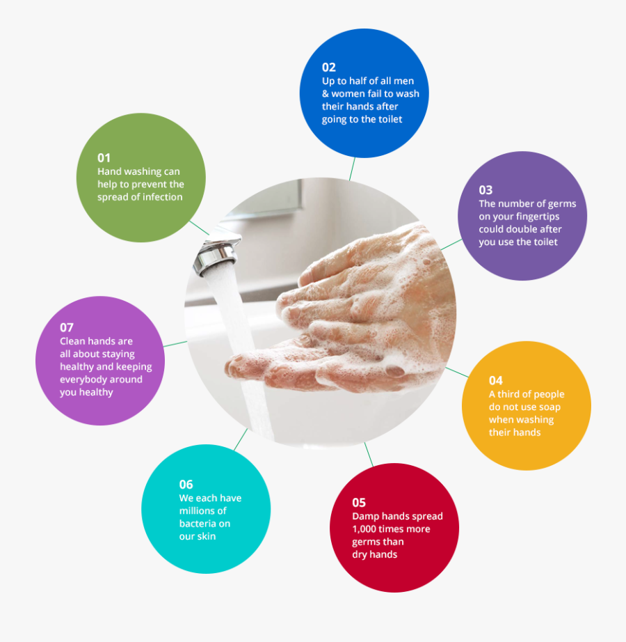 Hand Washing Facts - Hand Washing Food Industry, Transparent Clipart