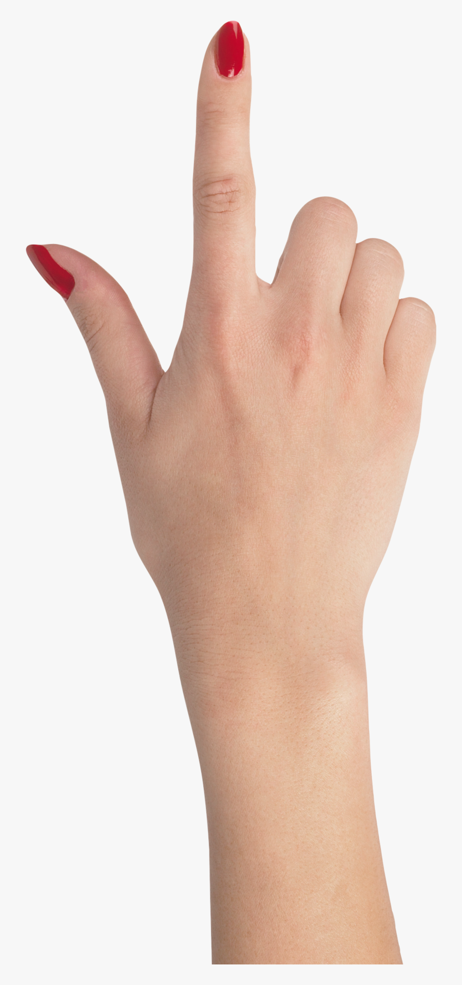 Hand Clipart Forearm - Transparent Background Finger Png, Transparent Clipart