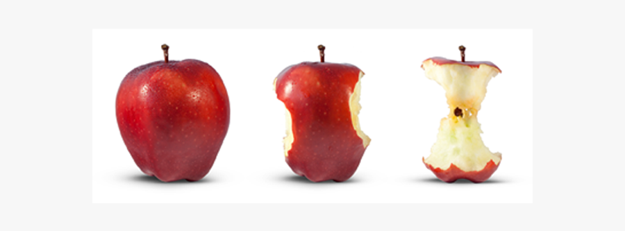 Take A Bite Out Of Hunger - Apple Core With Seeds, Transparent Clipart