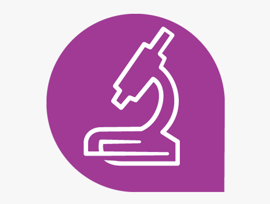 Graphic Design, Transparent Clipart