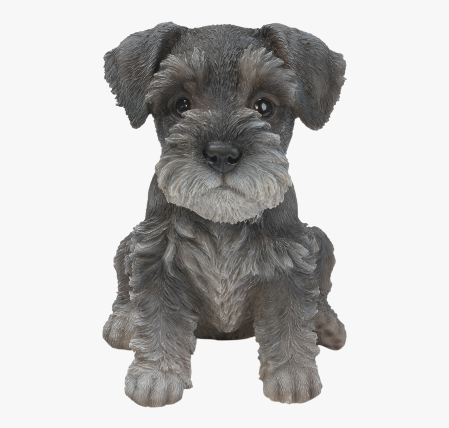 Transparent Miniature Schnauzer Clipart - Schnauzer Puppy Miniature Schnauzer Clipart, Transparent Clipart