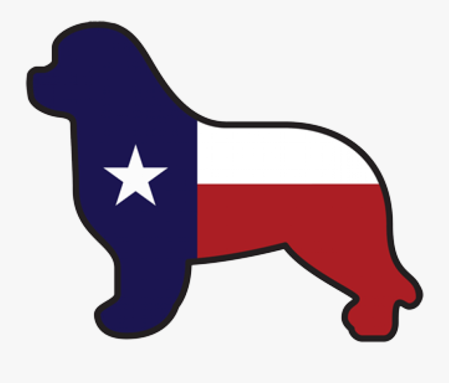 Ownc Logo Sq - Vector Graphics, Transparent Clipart