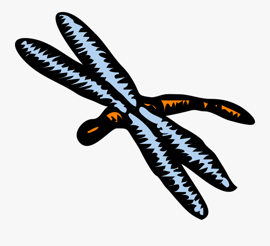 Dragonfly, Transparent Clipart