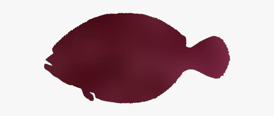 Gulf Flounder Png Image Clipart - Sole, Transparent Clipart