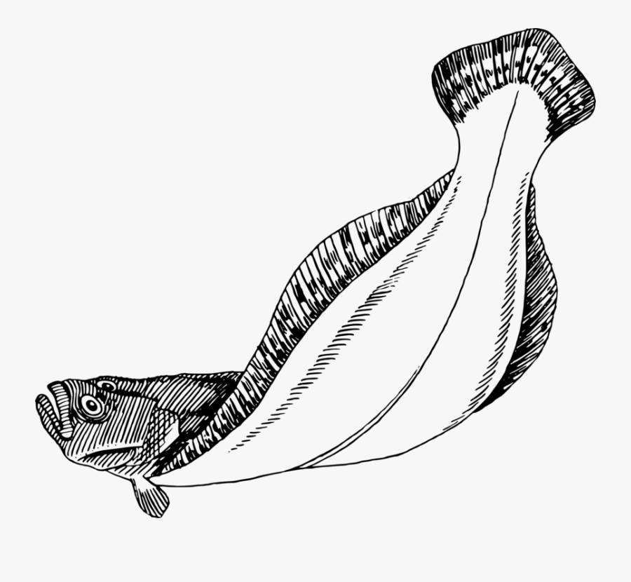 Line Art,reptile,neck - Halibut Clip Art, Transparent Clipart