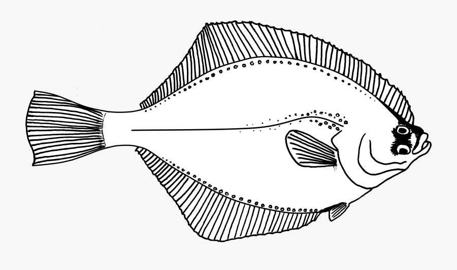 Flounder Clipart Black And White, Transparent Clipart
