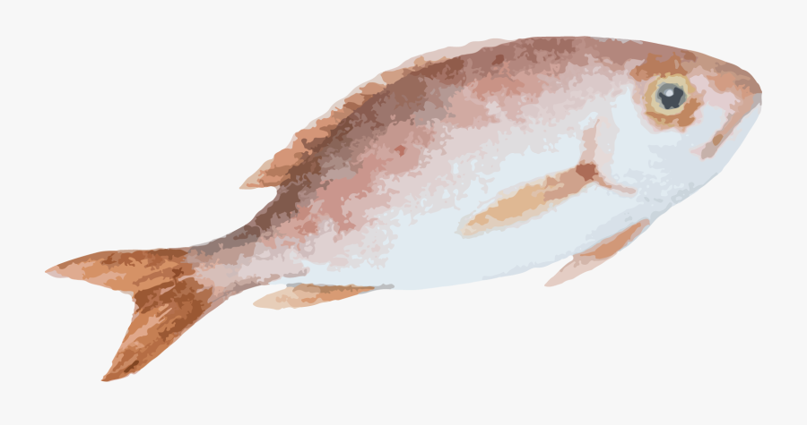 Transparent Flounder Clipart - Productos De Origen Animal Pez, Transparent Clipart
