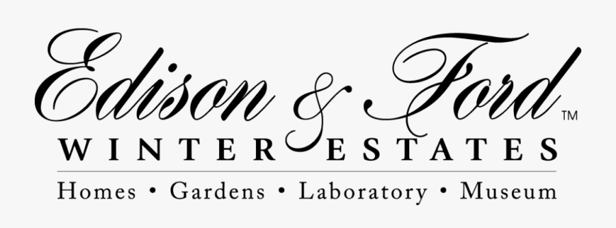 Calligraphy, Transparent Clipart