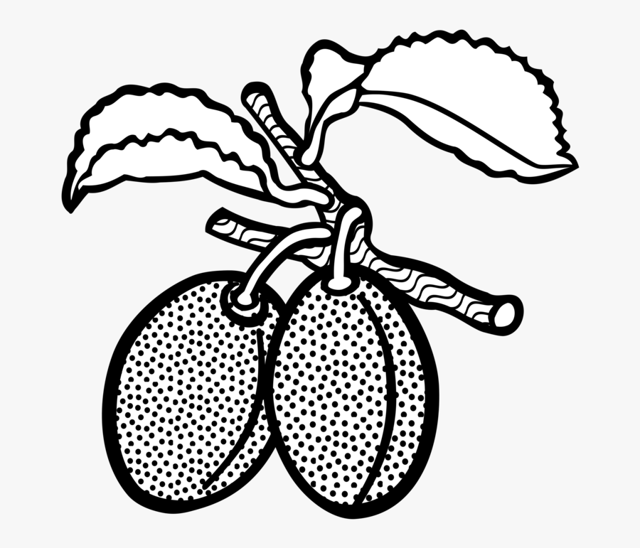 Line Art,plant,visual Arts - White And Black Clipart Fruits Plum, Transparent Clipart