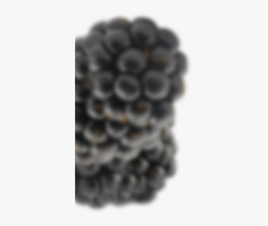 Fynbo Boysenbaer Boysenberry Jam Marmelade - Blackberry, Transparent Clipart