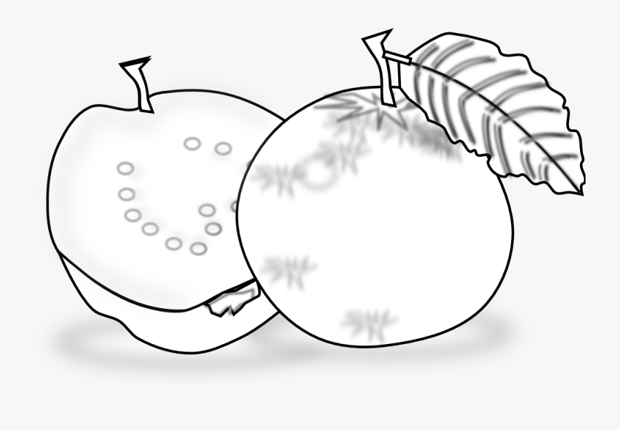 Guava Fruit Clipart Black And White , Free Transparent Clipart ClipartKey