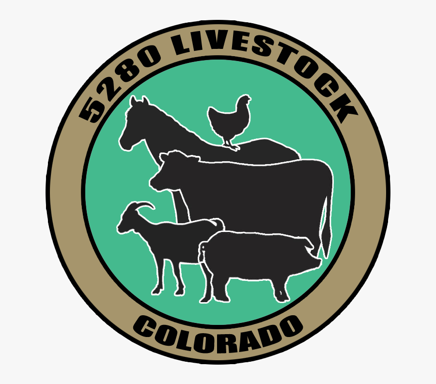 Thank You For Being Patience - Goat, Transparent Clipart