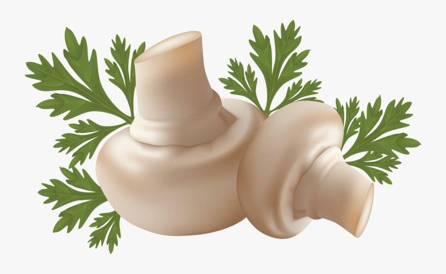 White Mushrooms Png Image - Transparent Background Mushroom Png, Transparent Clipart