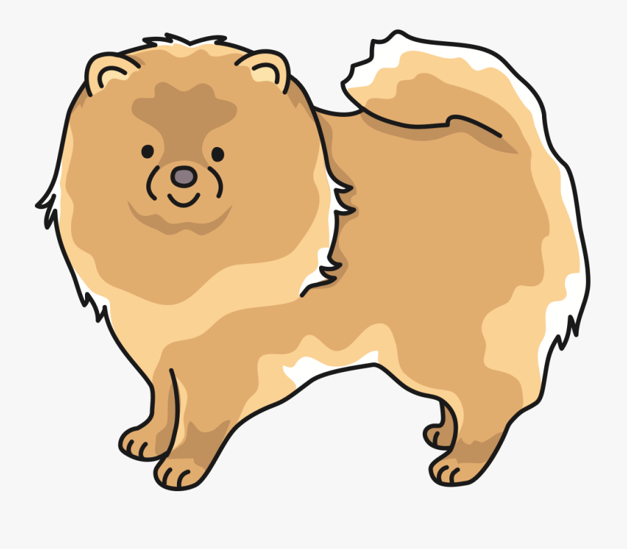 Fawn,companion Dog,carnivore - Pomeranian, Transparent Clipart